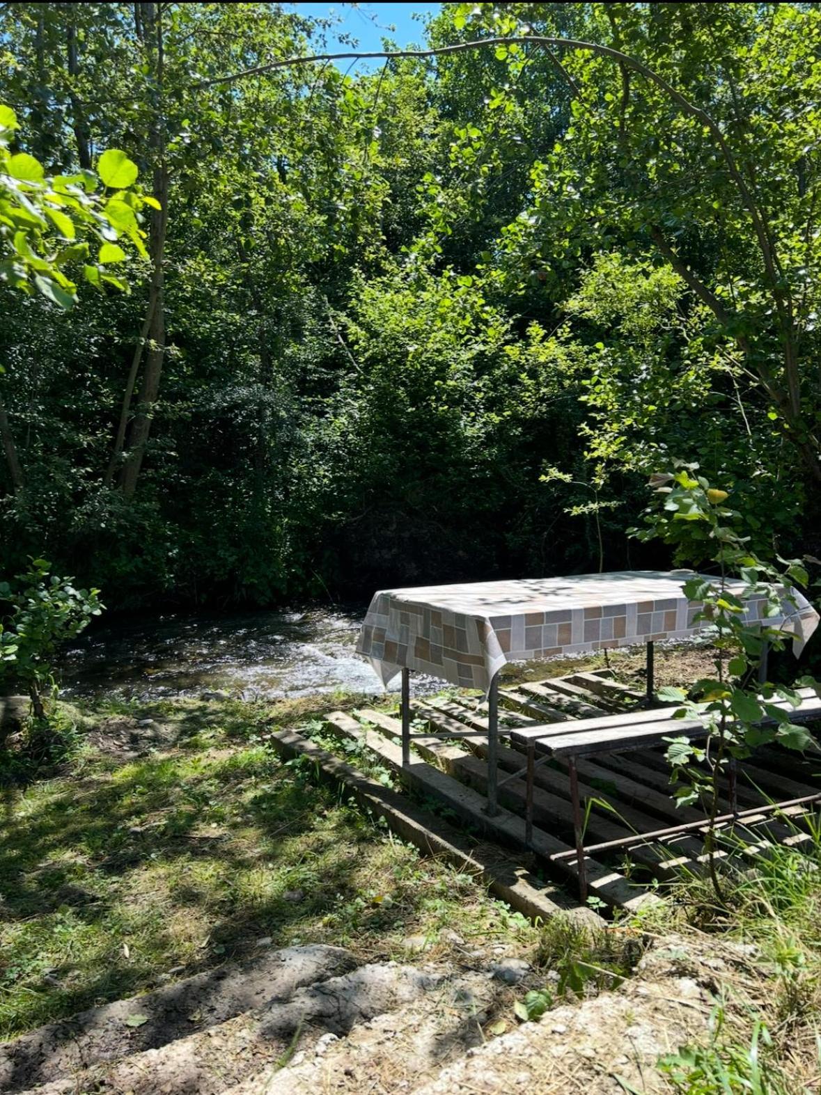 Cottage Bytheriver Arpaşu de Sus Eksteriør bilde